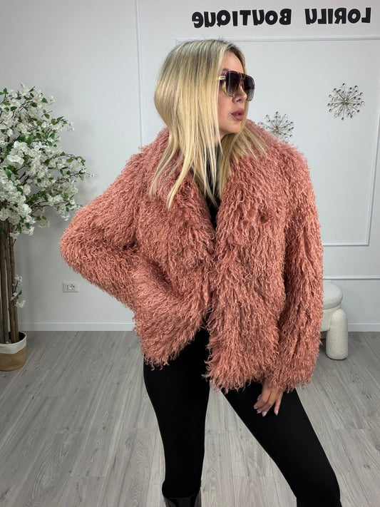 Mongolia Rosa Tensione In